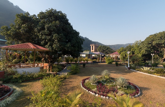 Tent stay in jim corbett